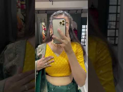 Navratri Special Traditional Looks For Lehenga choli Dno 2036