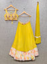 Beautiful Bridal Wedding Special for Haldi Lehenga Choli - Anant Exports