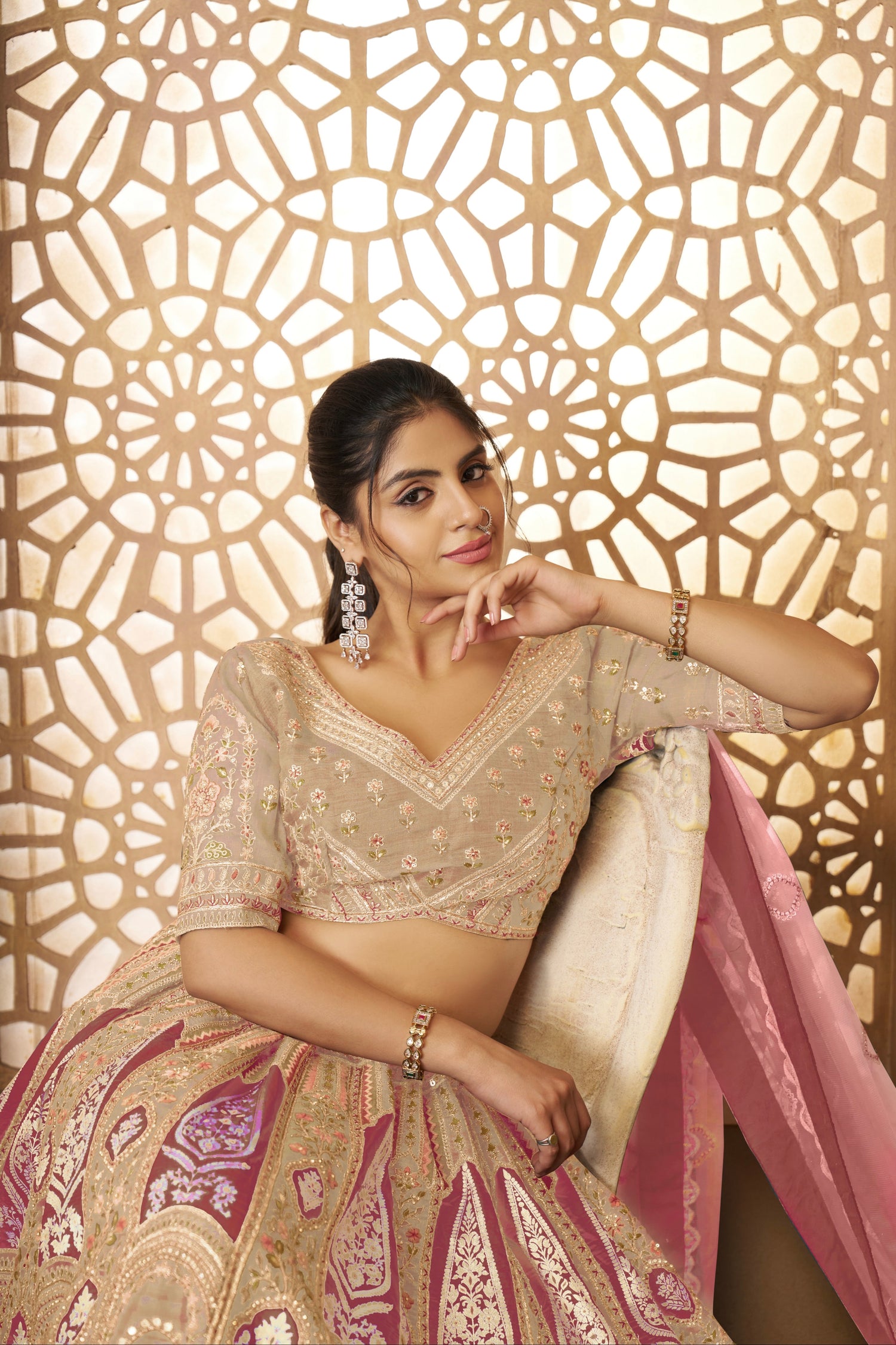 Chiku Banarasi Silk Lehenga with Aari Work &amp; Net Dupatta