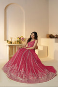 Soft net dupatta with scalloped embroidered border – pink bridal lehenga

