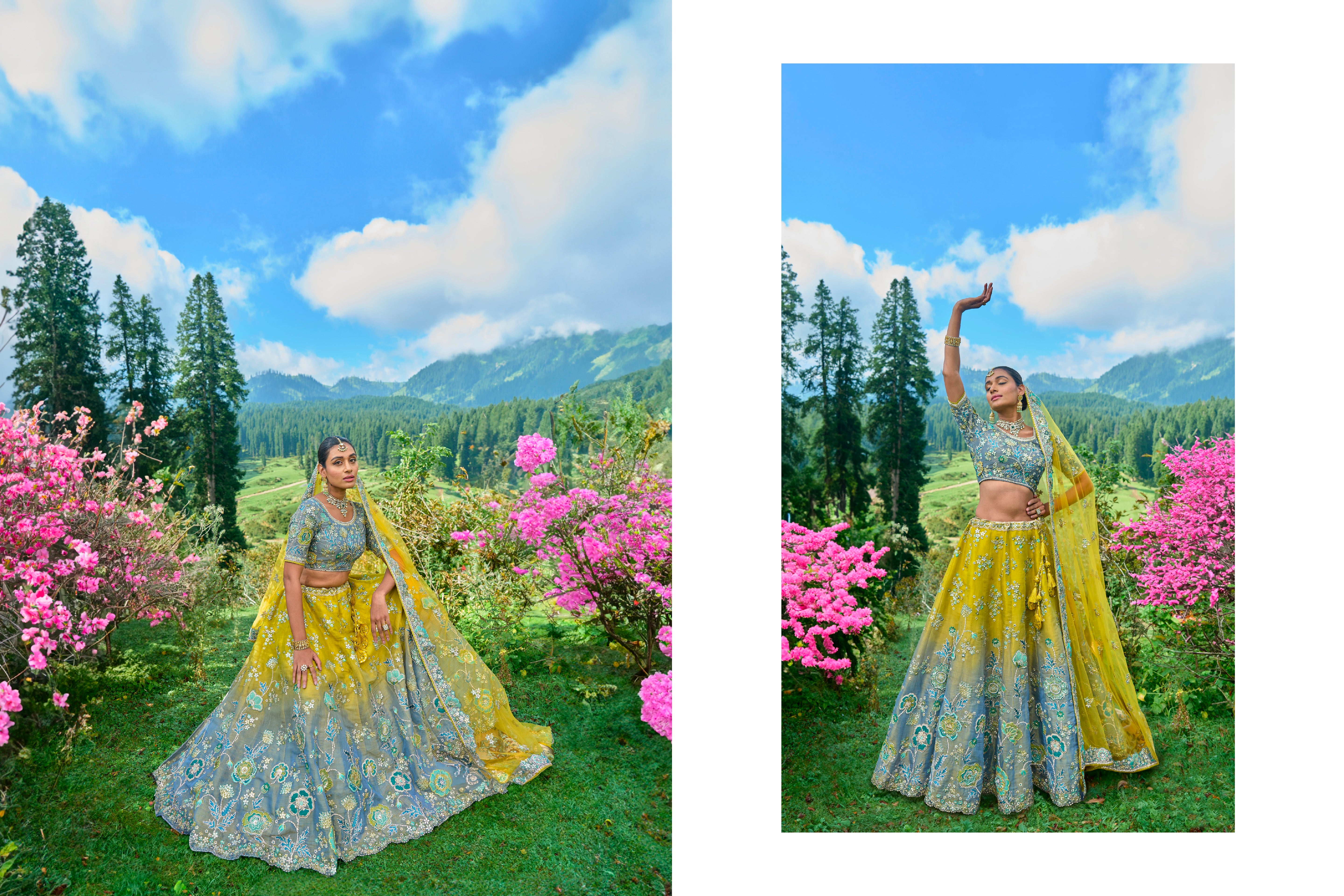 lehenga choli for women