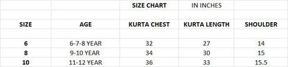 Beautiful Kids Boy Sequence Kurta Pyjama - Anant Exports