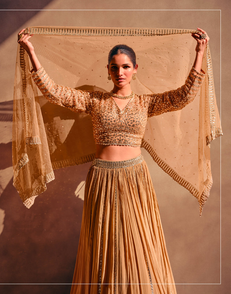 Beautiful Designer Wedding Wear Latest Lehenga Choli