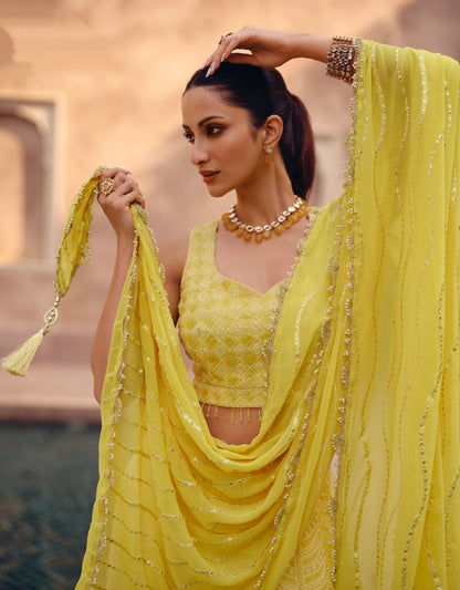 Yellow Embroidered Crop Top and Skirt Lehenga Set