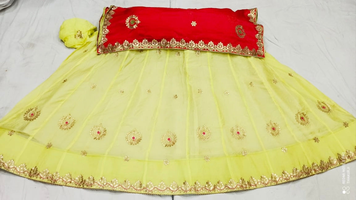 Rajsthani Traditional Rajputi Pure Organza Butti Work Lehenga Choli