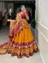 Beautiful Designer Navratri Garba Lehenga Choli - Anant Exports