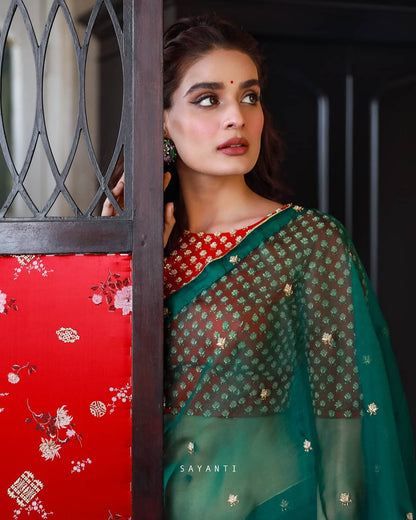 Organza saree