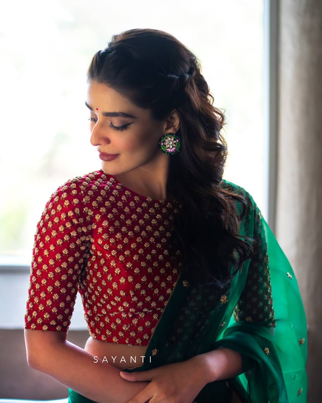 Organza saree