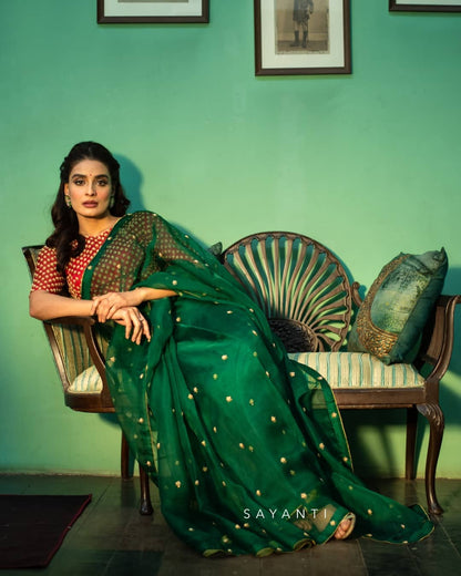 Organza saree