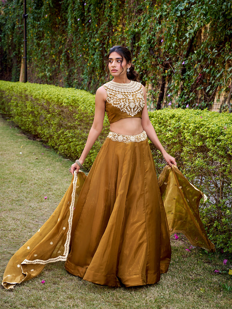Bronze Color Embroidery Work Chaniya Choli 