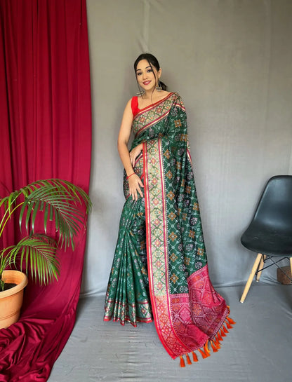 Beautiful Designer Rangeen Meenakari Patola Silk Saree Anant Tex Exports Private Limited