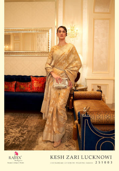 Party Wear RajTex Kesh zari Lucknowi - Anant Exports