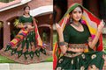 Raas Leela Vol-1 Lehenga Anant Tex Exports Private Limited