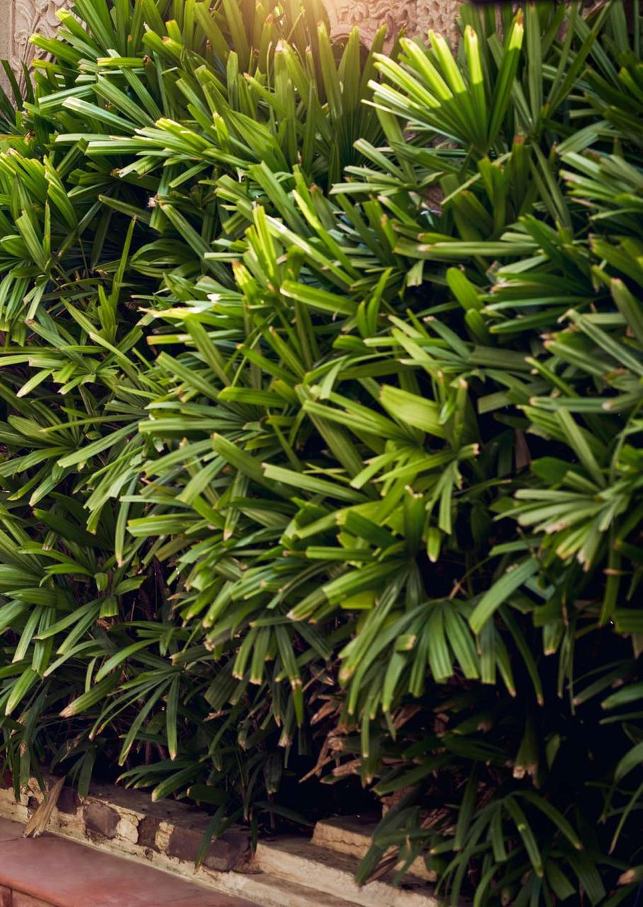 Beautiful Pure Georgette Saree  LT AAKRUTHI-02 Anant Tex Exports Private Limited