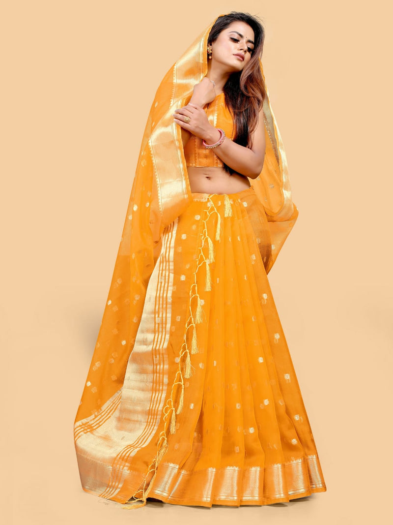 Organza Silk Saree Anant Tex Exports Private Limited