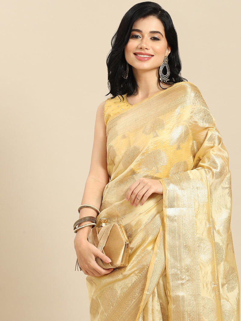 MAJI ORGANZA FESTIVE WEAR SAREE Anant Tex Exports Private Limited