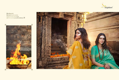 Meghdoot Shuddhi Soft Tissue Silk Saree Anant Tex Exports Private Limited