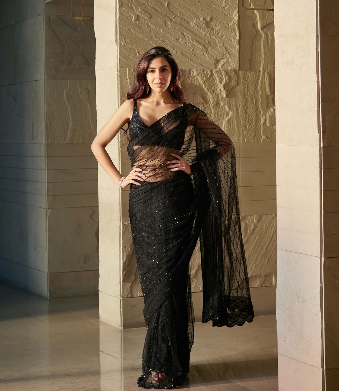 Georgette With Heavy Sequence Design Saree Anant Tex Exports Private Limited