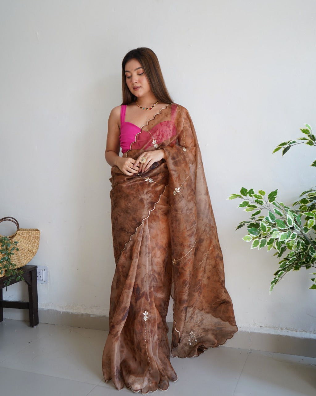 Ariana Organza Saree Anant Tex Exports Private Limited