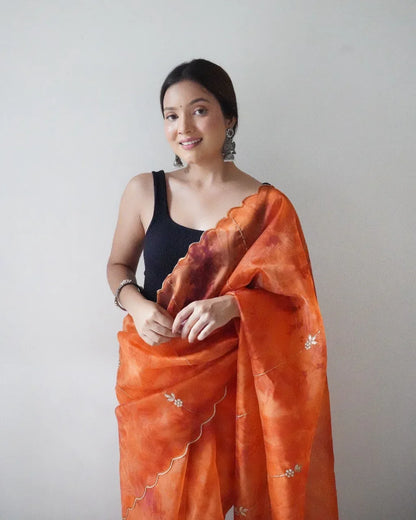 Ariana Organza Saree Anant Tex Exports Private Limited