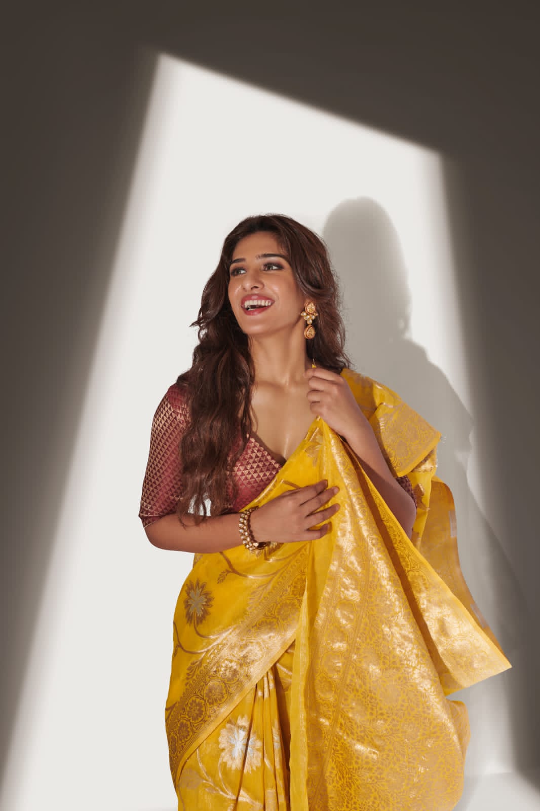 RajYog Alishya Silk Soft Banarasi Organza Saree Anant Tex Exports Private Limited