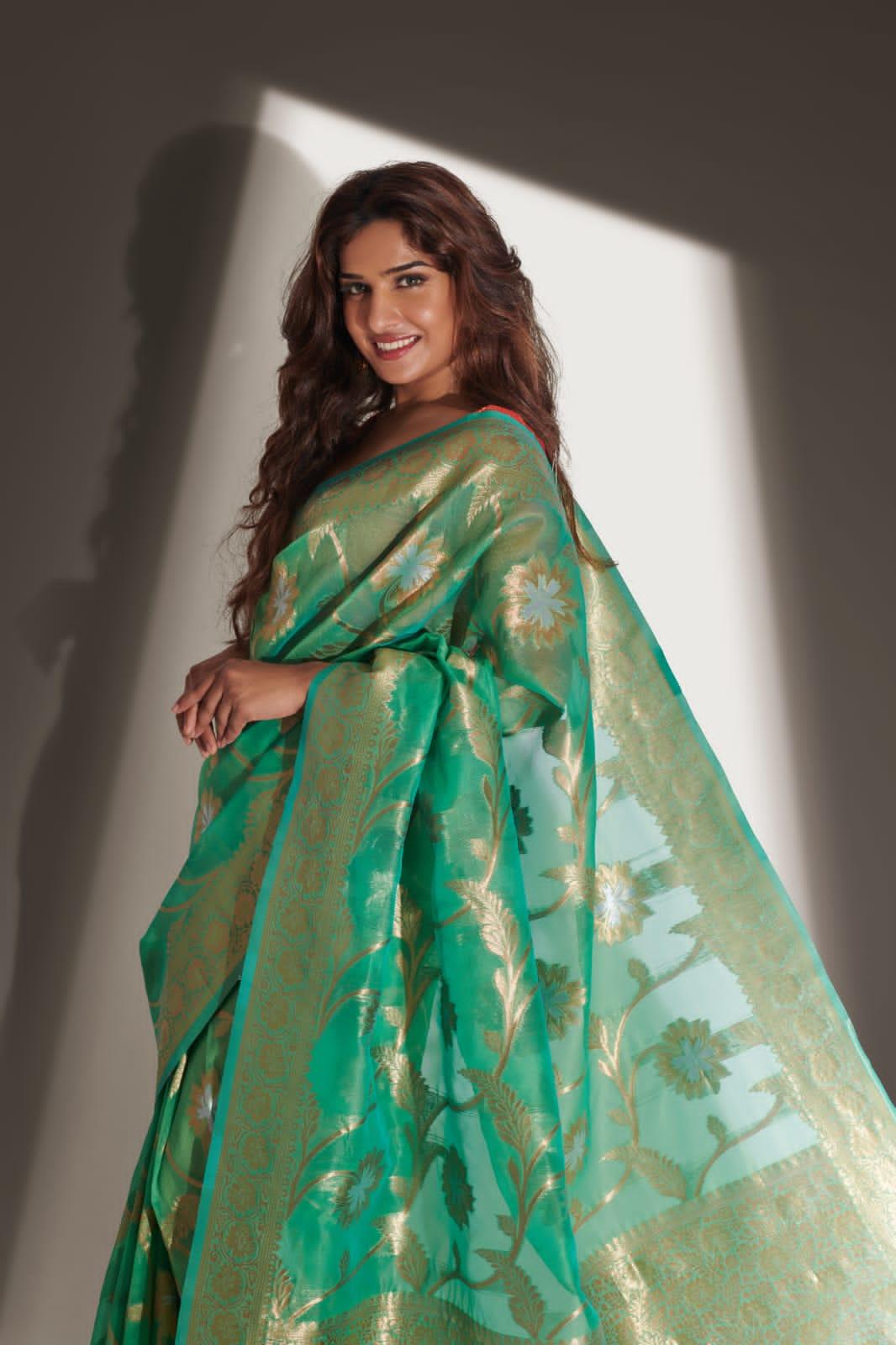 RajYog Alishya Silk Soft Banarasi Organza Saree Anant Tex Exports Private Limited