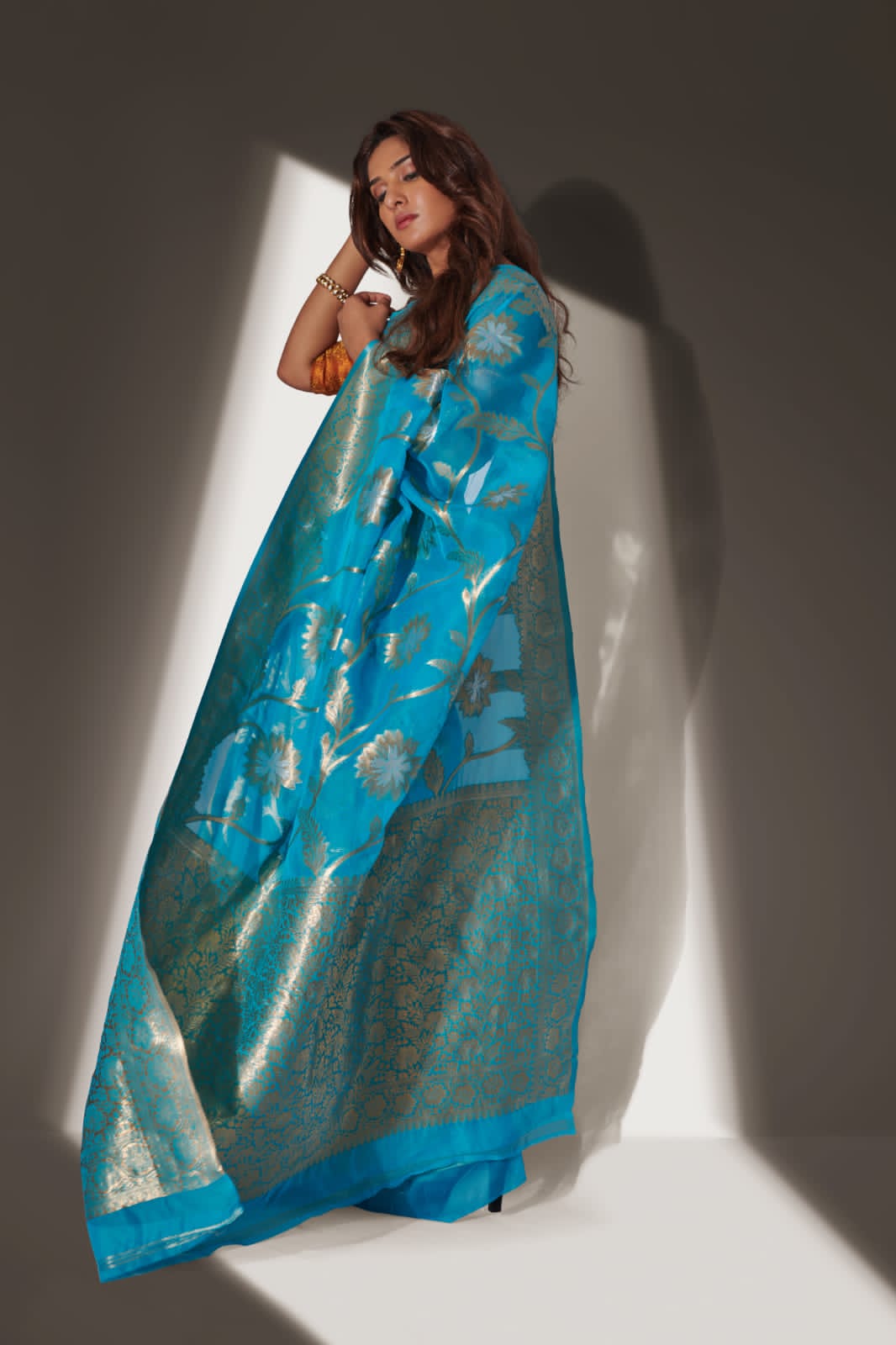 RajYog Alishya Silk Soft Banarasi Organza Saree Anant Tex Exports Private Limited