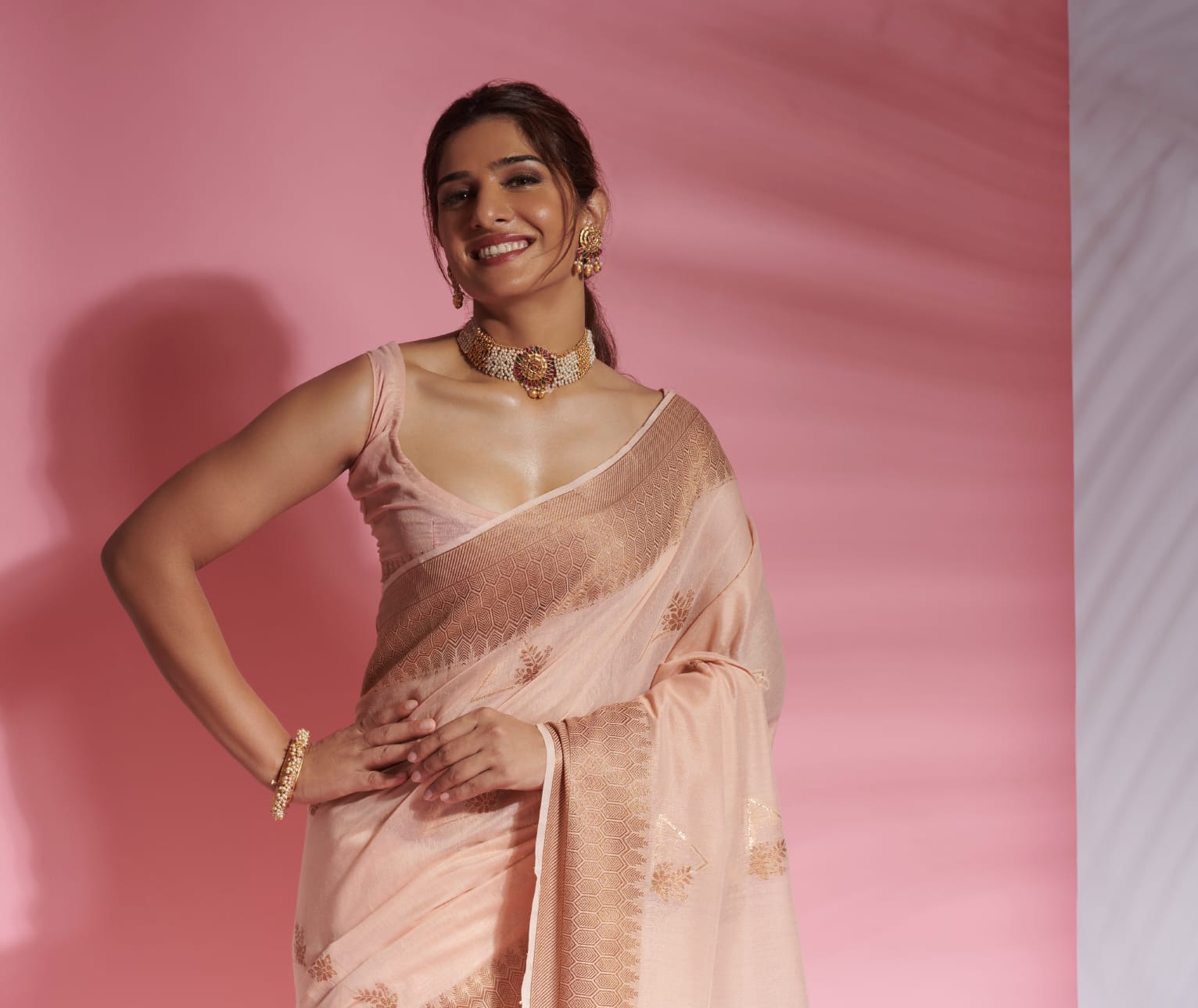 RajYog Aarna Silk Soft Modal Cotton Saree Anant Tex Exports Private Limited