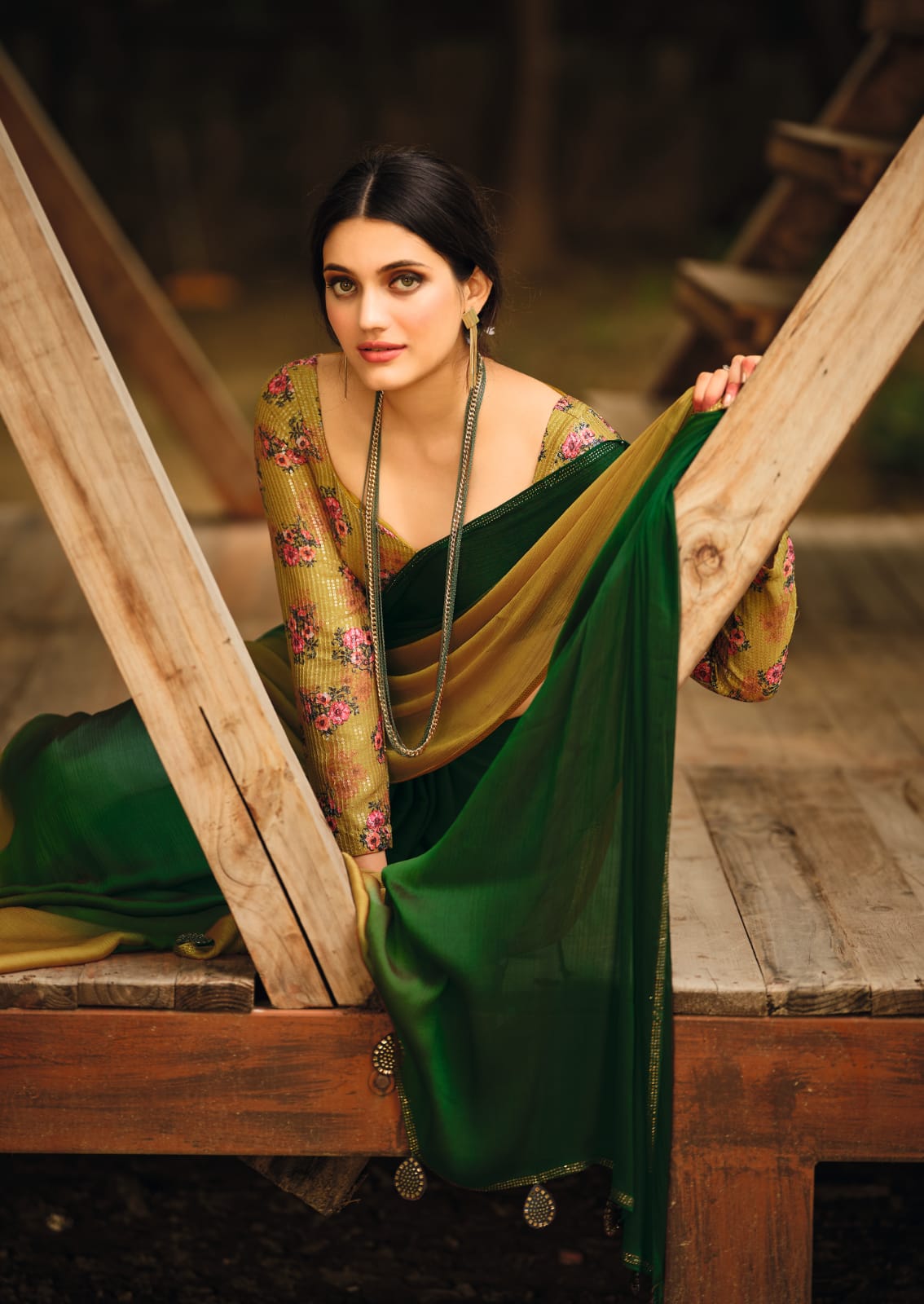 ARUNA 3D VELVET CHIFFON SAREE Anant Tex Exports Private Limited