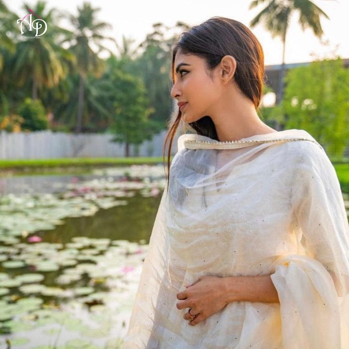 ANARKALI CHIKAN SEQUINS GOWN WITH DUPATTA Anant Tex Exports Private Limited