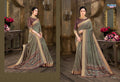 Ambica Aafreen Fancy saree Anant Tex Exports Private Limited