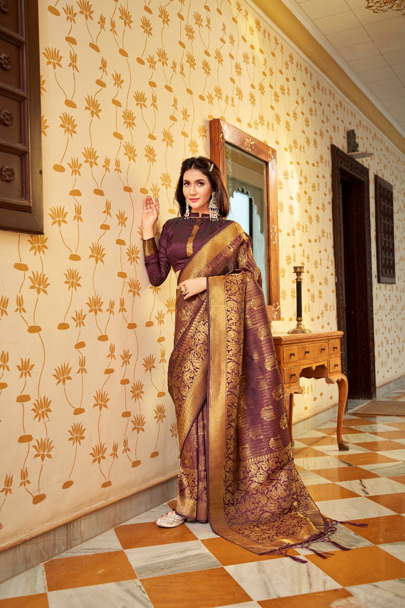 Amber dhara Soft Handloom Weaving silk Designer Saree Anant Tex Exports Private Limited