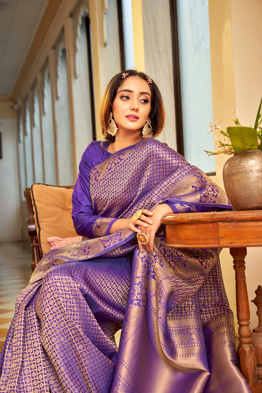 Amber dhara Soft Handloom Weaving silk Designer Saree Anant Tex Exports Private Limited