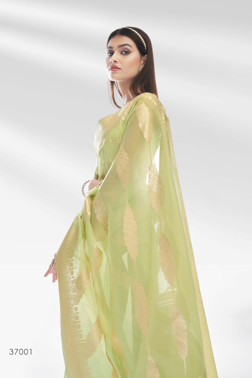 RajPath Abudhai Pure Organza with an amazing Shiny Banarasi Zari Saree Anant Tex Exports Private Limited