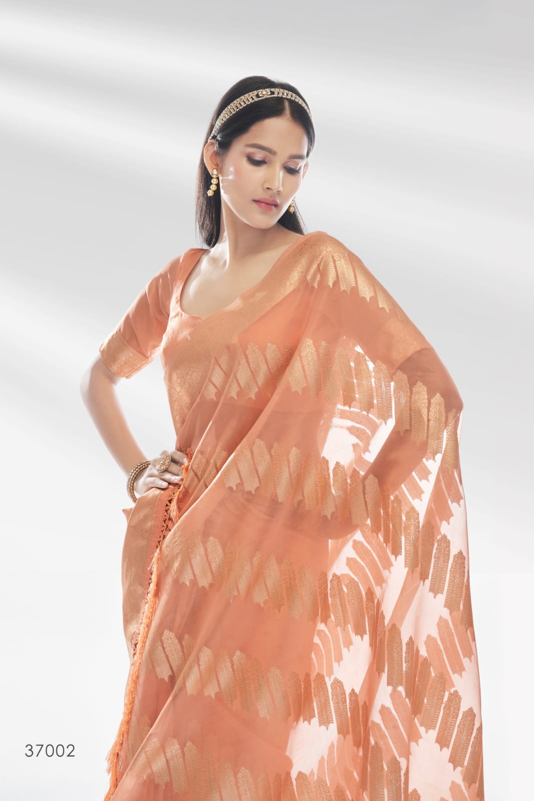 RajPath Abudhai Pure Organza with an amazing Shiny Banarasi Zari Saree Anant Tex Exports Private Limited