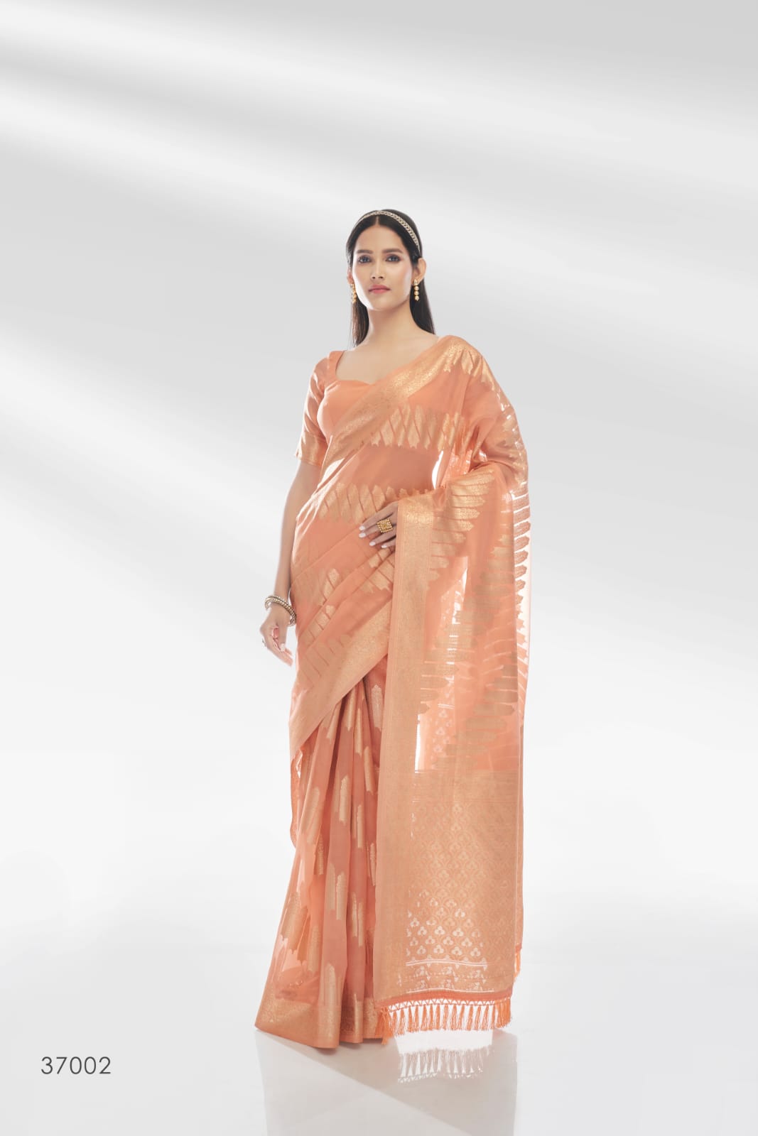 RajPath Abudhai Pure Organza with an amazing Shiny Banarasi Zari Saree Anant Tex Exports Private Limited