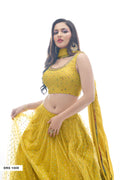 Traditional Lehenga Choli Anant Tex Exports Private Limited