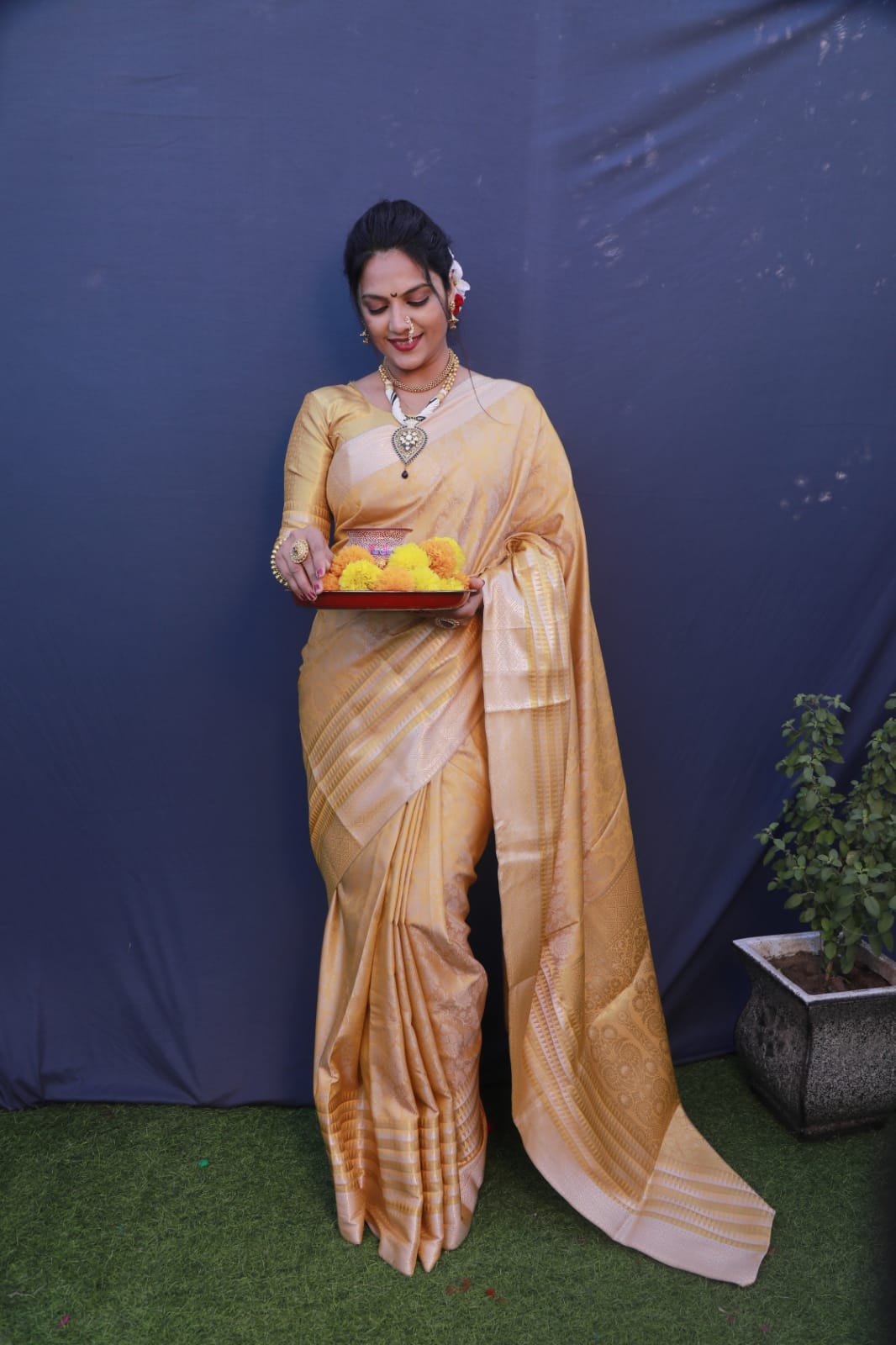 Kanchipuram Pure Silk Handloom Saree Anant Tex Exports Private Limited