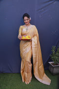 Kanchipuram Pure Silk Handloom Saree Anant Tex Exports Private Limited