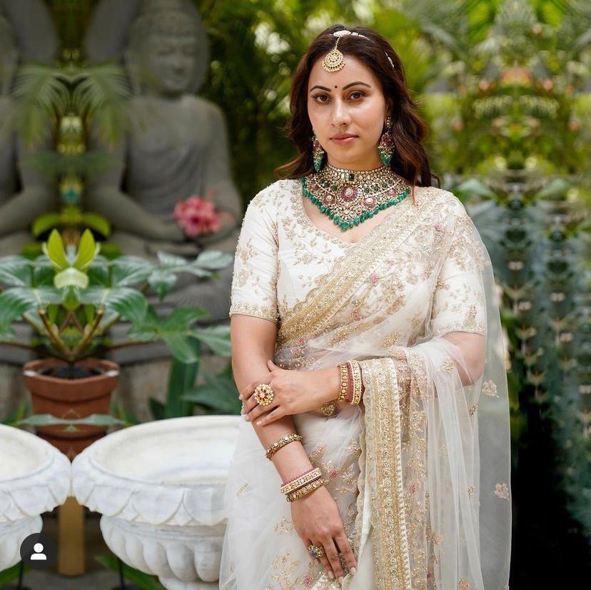 ZEEL BUTTERFLY SOFT NET SAREE Anant Tex Exports Private Limited