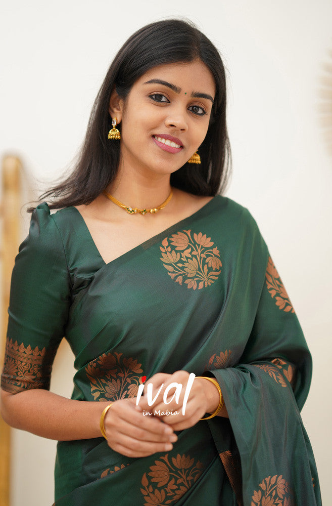 Traditional Silk Saree Anant Tex Exports Private Limited