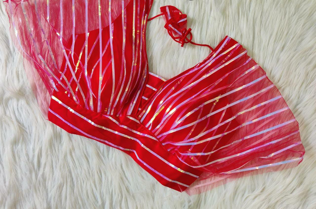 SPECIAL NET PARI BLOUSE Anant Tex Exports Private Limited