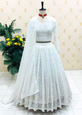New Designer Sequins Lehenga Choli Anant Tex Exports Private Limited