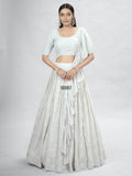 Party Wear Georgette Designer Lehenga Choli Anant Tex Exports Private Limited
