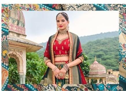 ROYAL VOL 29 DESIGNER LEHENGA D.NO -1017 Anant Tex Exports Private Limited