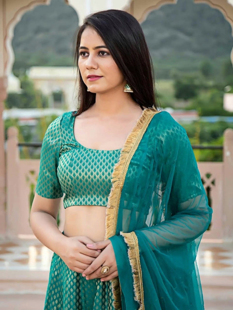 Party Wear Nayra Silk Lehenga Anant Tex Exports Private Limited