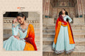 SHUBHKALA FLORY VOL. 30 EXCLUSIVE GOWN Anant Tex Exports Private Limited